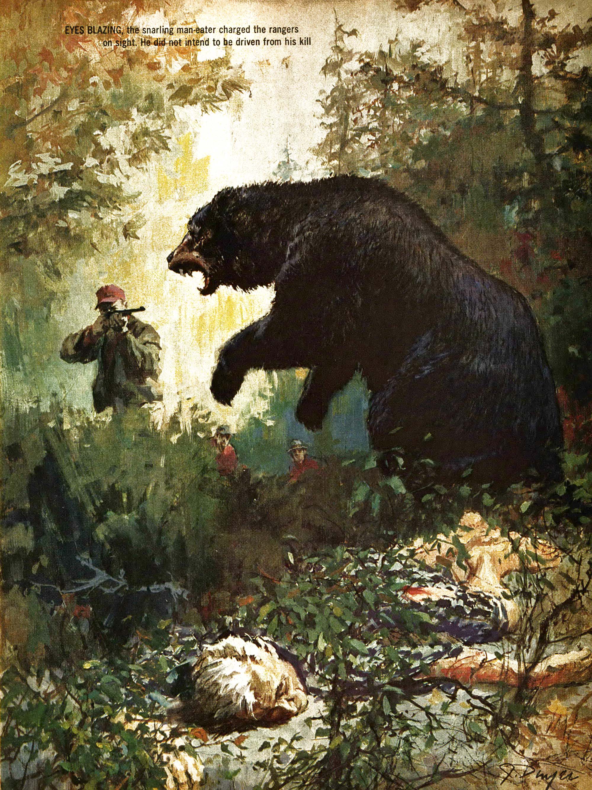 A black bear rears above a dead man and faces off with a team of would-be rescuers.