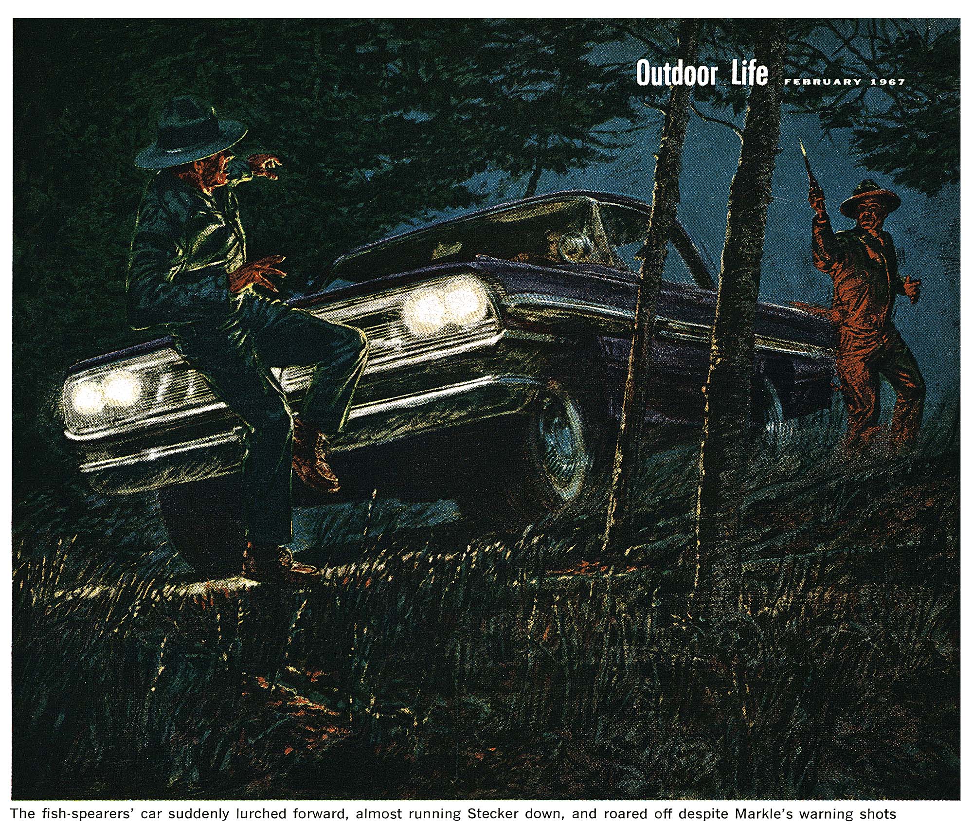 A color illustration of a game warden firing warning shots at a man stumbling in front of a car.