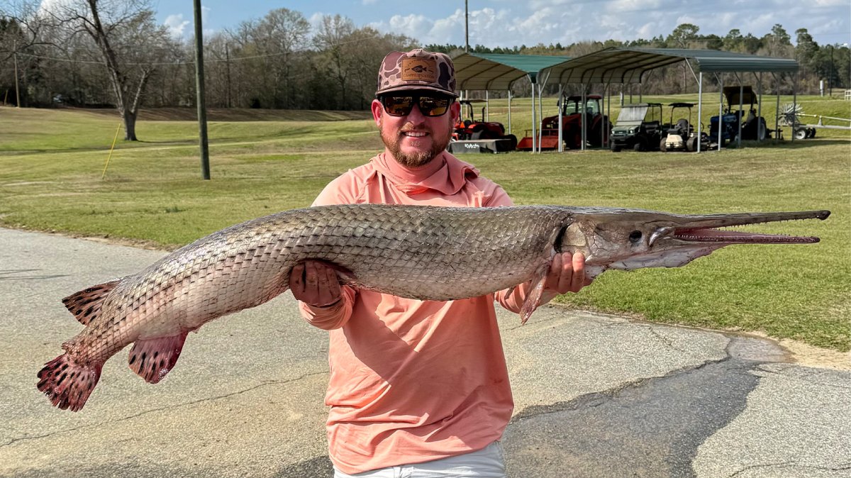 Guide Catches State-Record Gar While Fishing Solo on His Home Lake