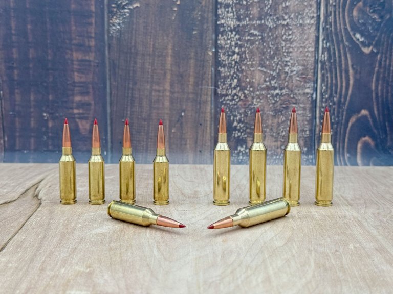 Hornady Modern cartridges