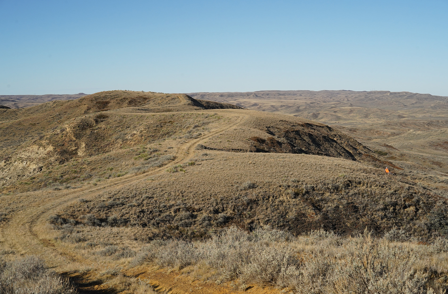 A two-track on the Nickels ranch in eastern Montana.