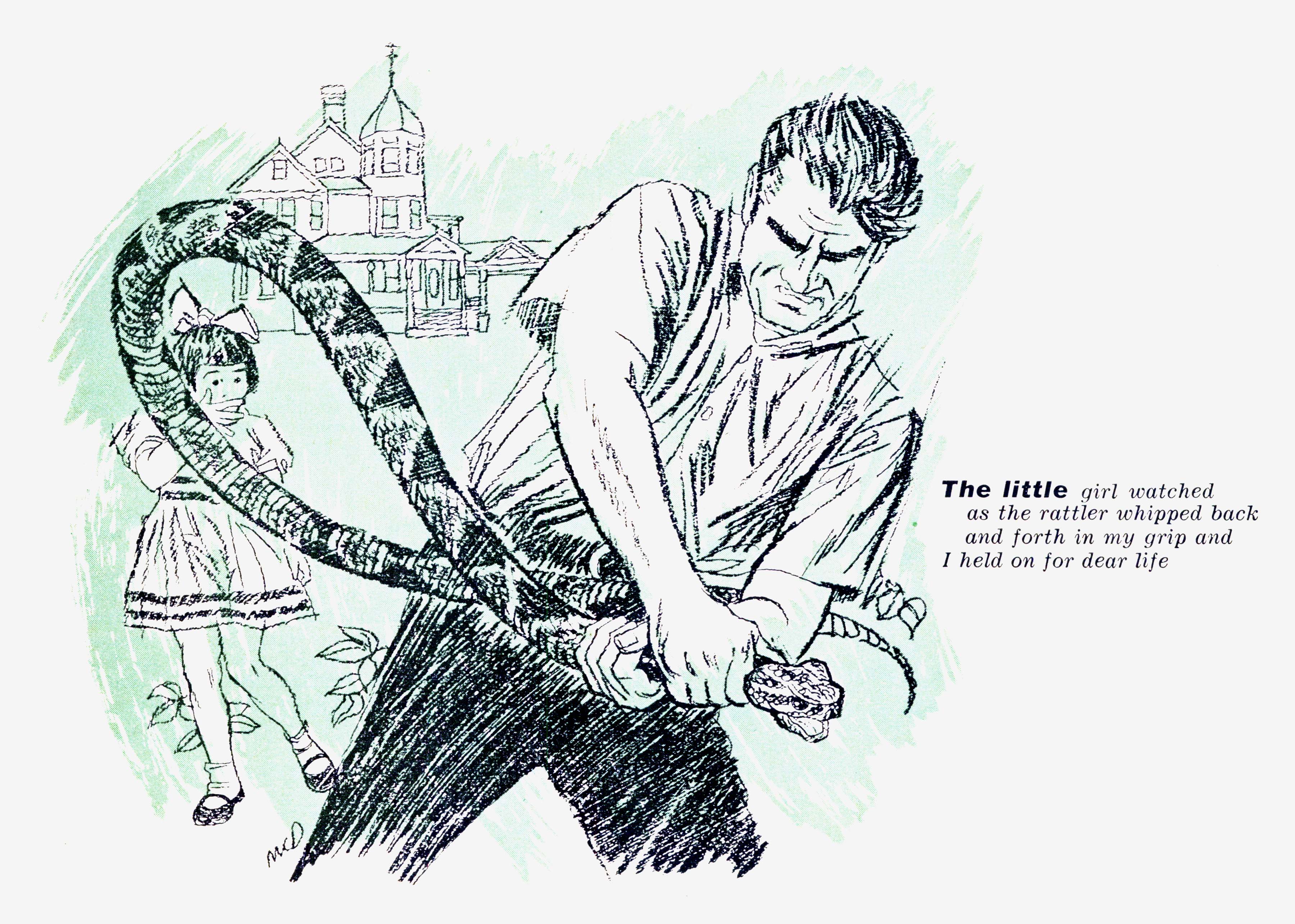 A man wrestles a rattlesnake.