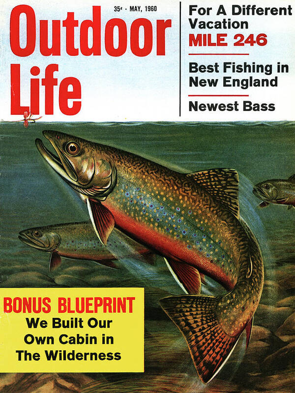 The May 1960 cover of Outdoor Life.