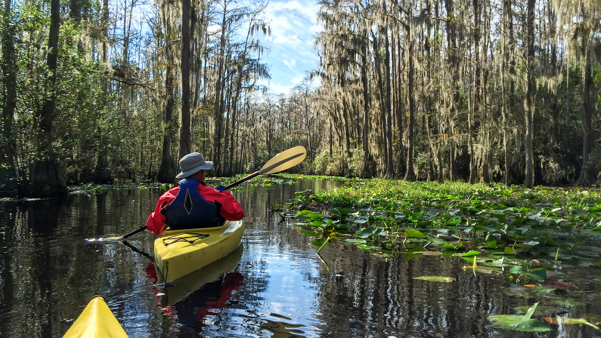 A paddler in the Okefenokee Swamp.