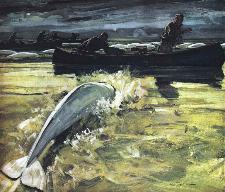 An illustration of a whale swimming straight for a group of canoers