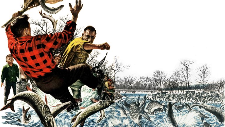 An illustration of a man punching another man with a net of pickerel during a historic run.