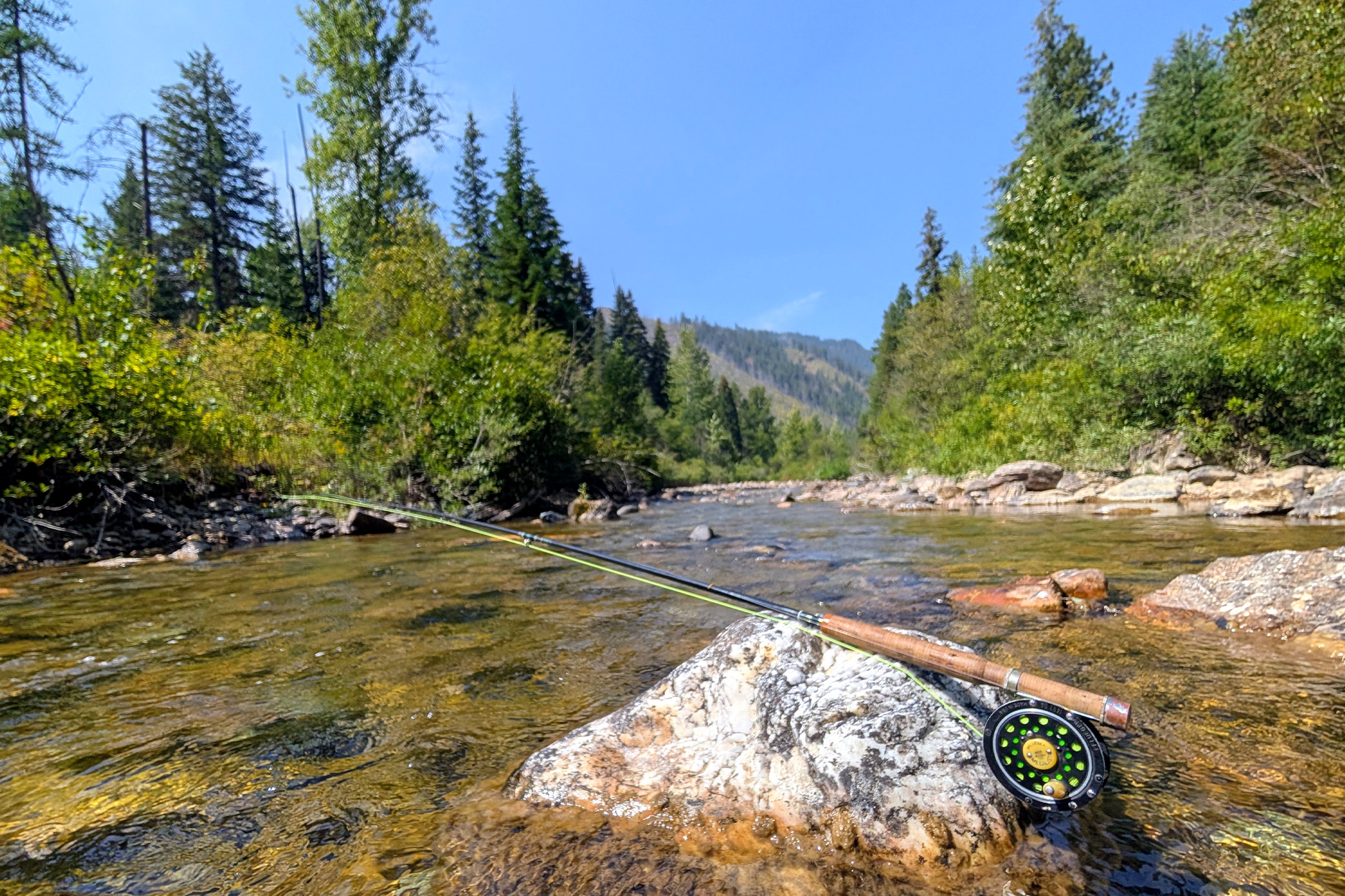 A fly rod rests on a rock in a backcountry creek.