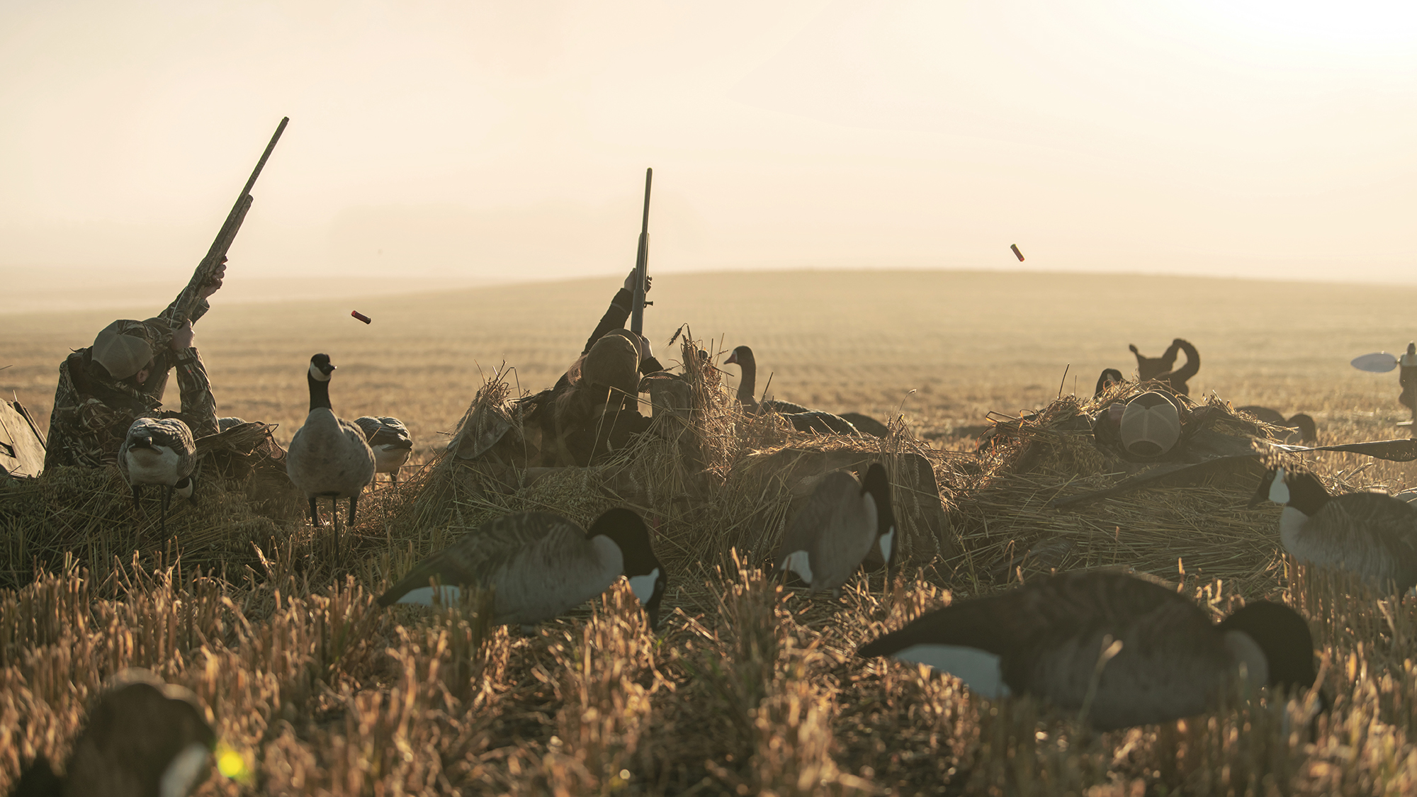 A group of hunters shooting waterfowl in a cut canadian field.