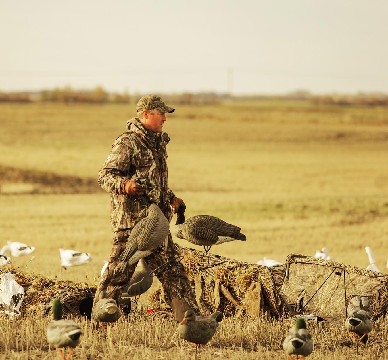 A duck hunter sets up for a field hunt in Saskatchewan.
