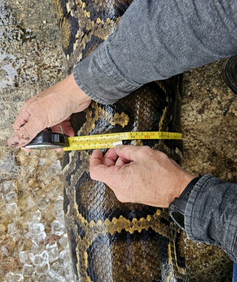 What It's Like to Get Dragged Through a Florida Swamp by a 200-Pound ...