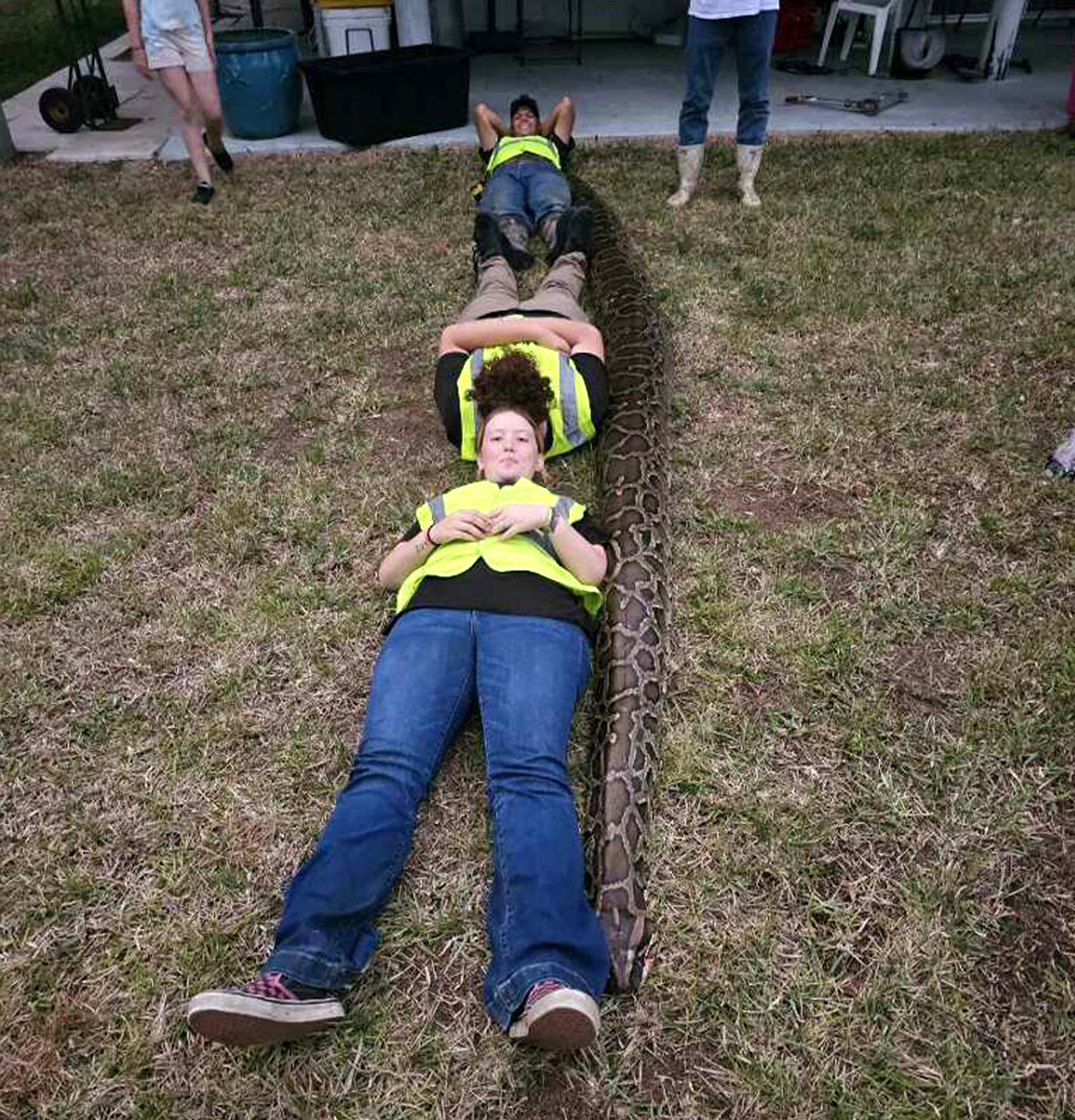 What It's Like to Get Dragged Through a Florida Swamp by a 200-Pound ...