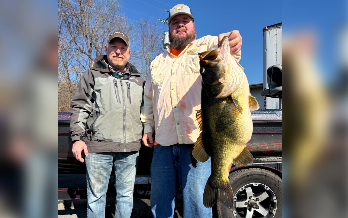 Tennessee anglers with a huge largemouth bass.