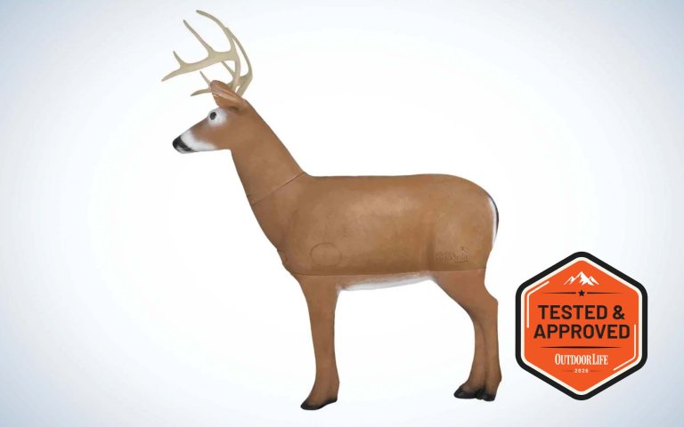 Best 3d target