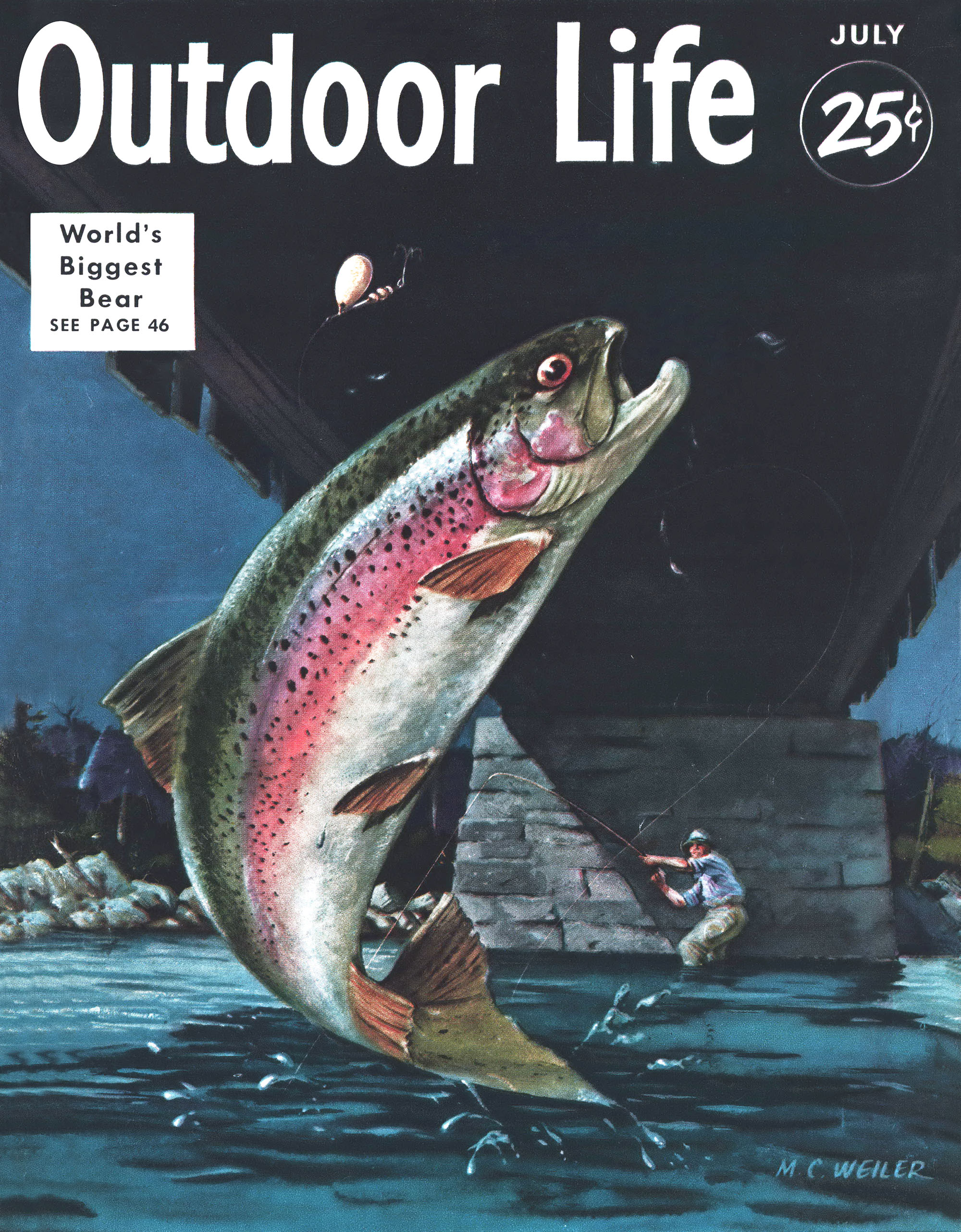 The cover of outdoor life