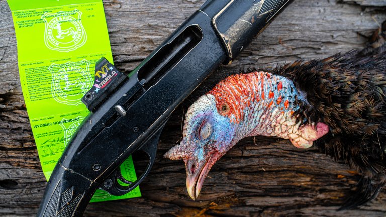 turkey hunting shotguns