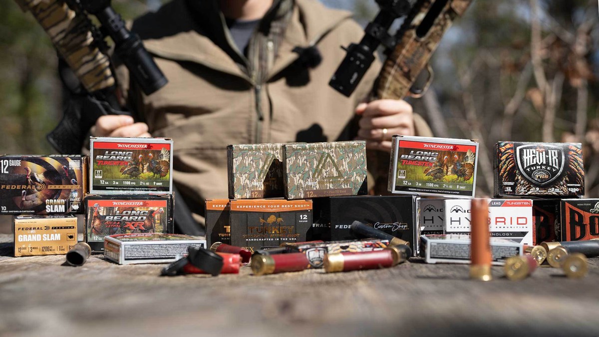 The Best Turkey Loads of 2026, Tested on Ballistic Gel (Video)