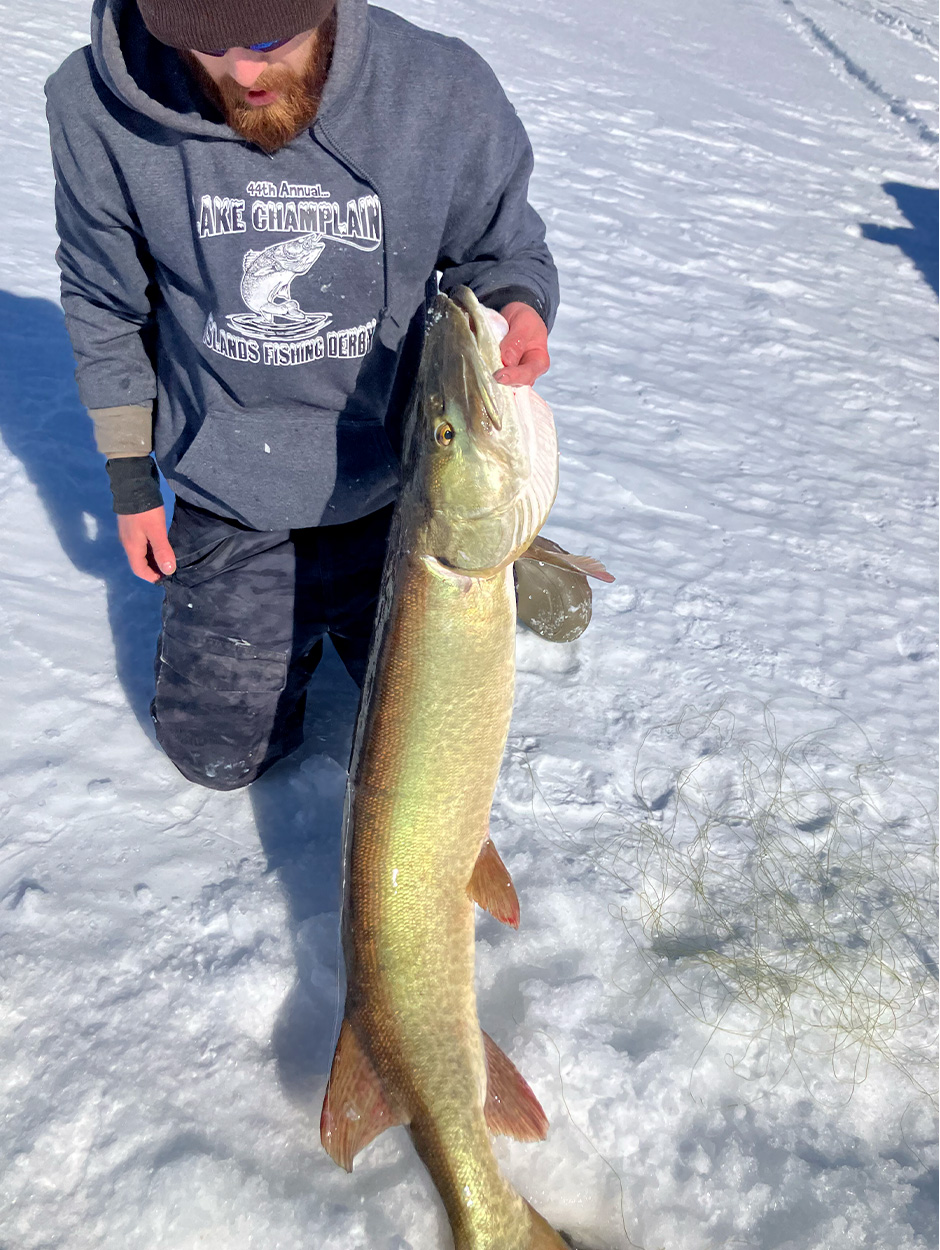 An ice fisherman holds up a muskie on the ice.
