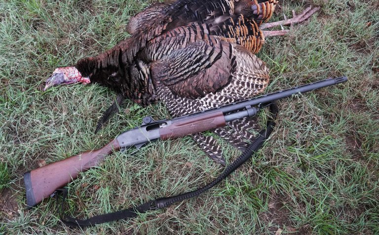 870 turkey gun