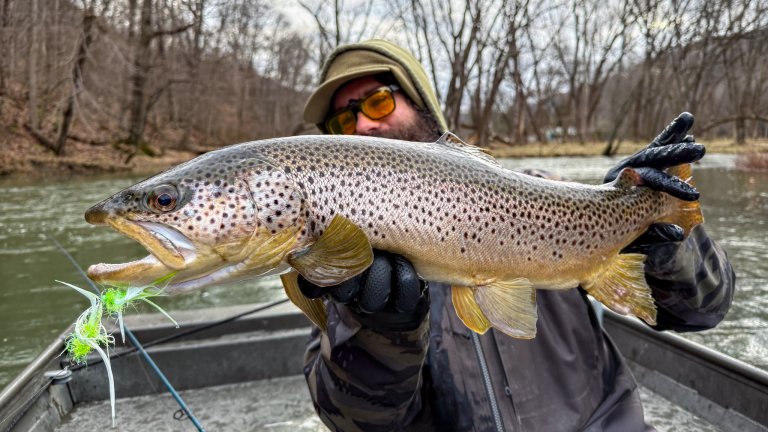 A big brown trout caught on a streamer.