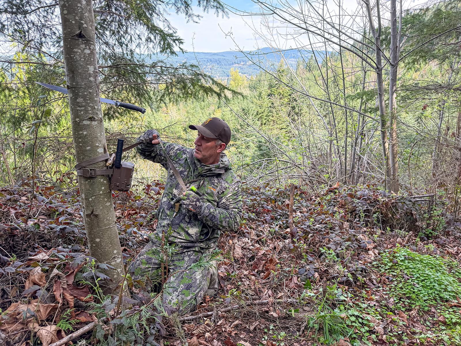 mountain lion hunting