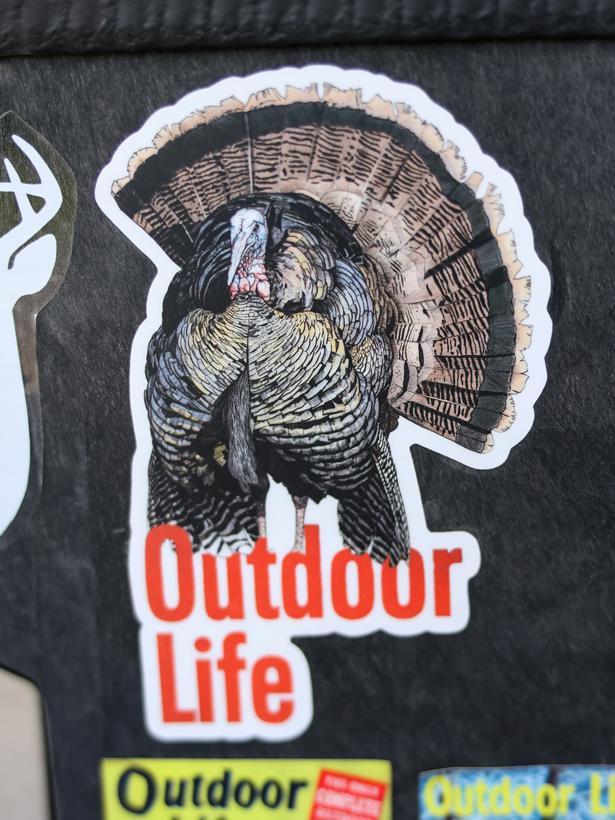 The OL strutter sticker