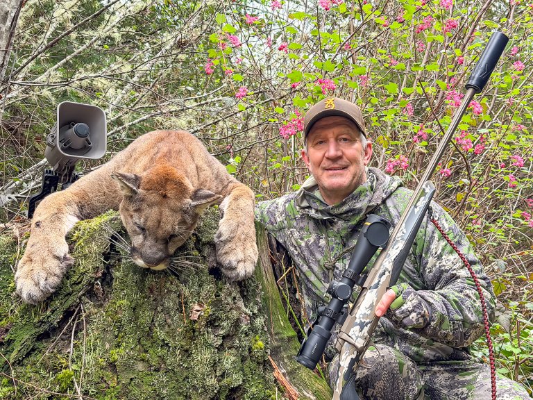mountain lion hunting