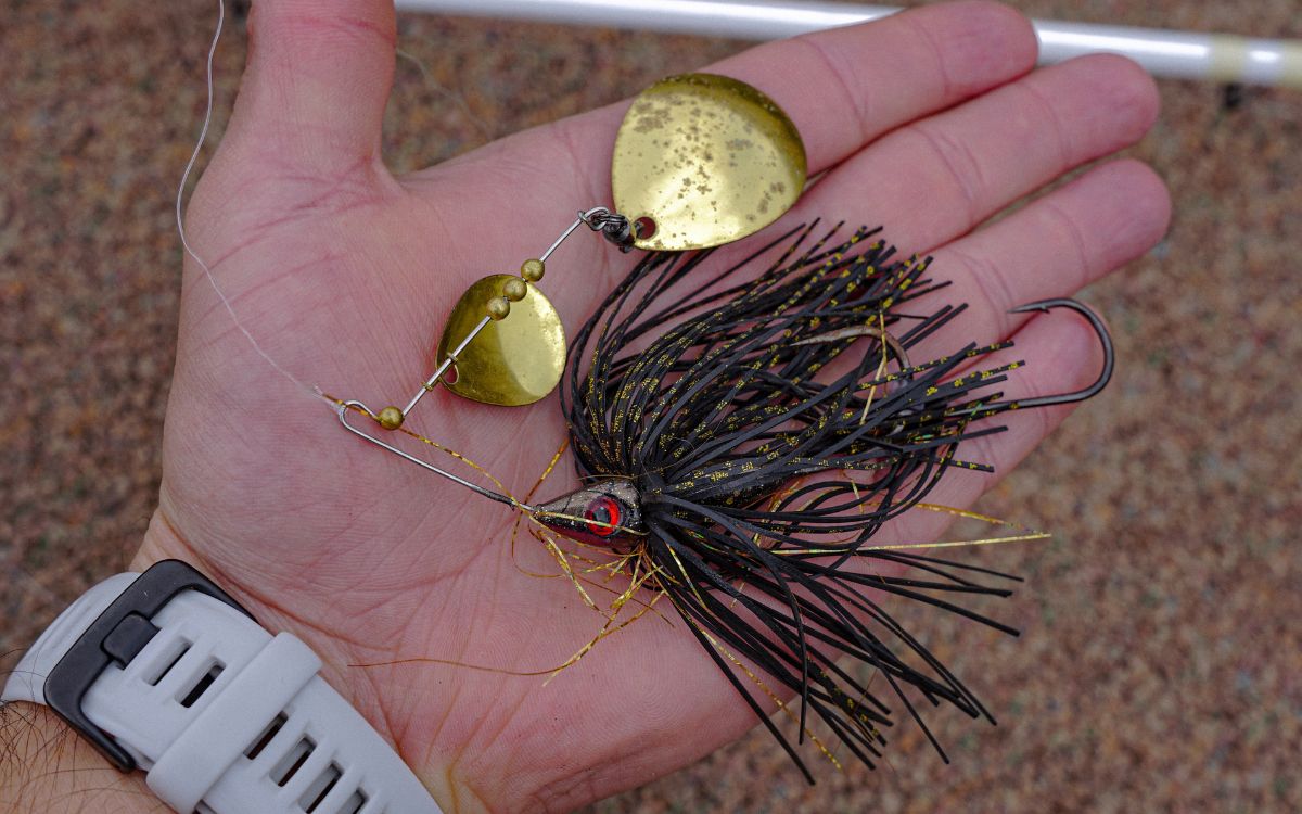 A spinnerbait held up in front of the camera.