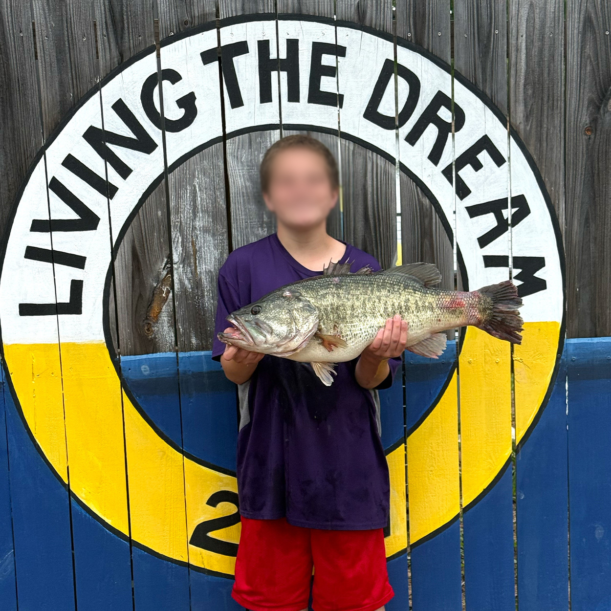 A kid holds up a big largemouth bass.