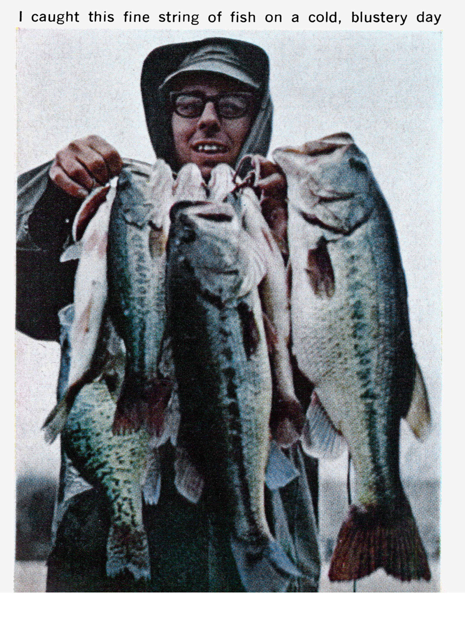 A bunch of bass on a stringer