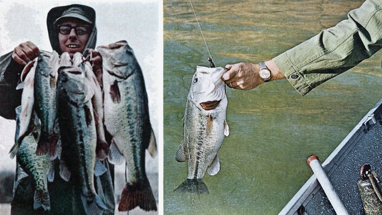 Two vintage bass photos