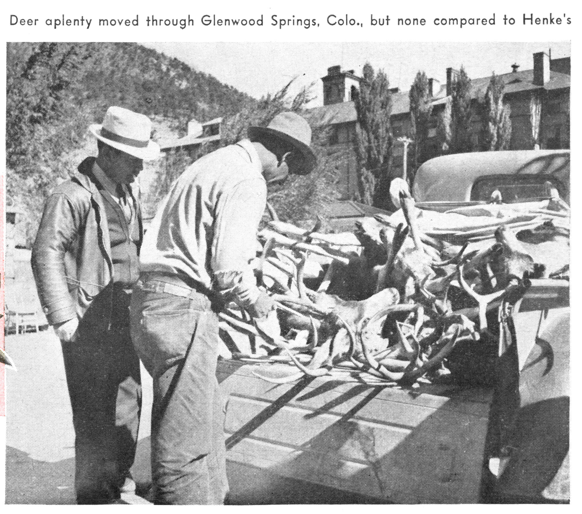 A black and white photo of a man inspecting a giant nontypical mule deer buck in teh back of a truck.