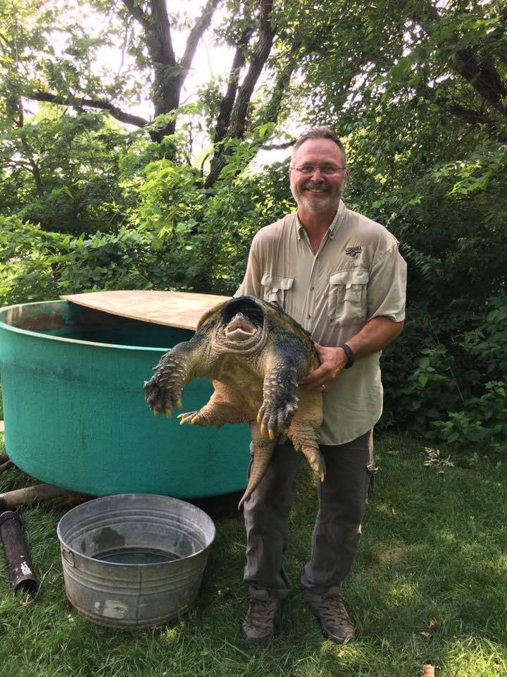 Big Snap Daddy, the World’s Largest Snapping Turtle, Has Died. He Had a ...