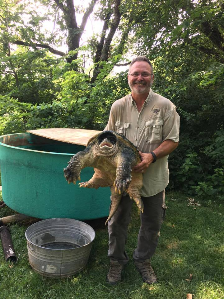 Big snap daddy being held by a Nebraska wildlife official