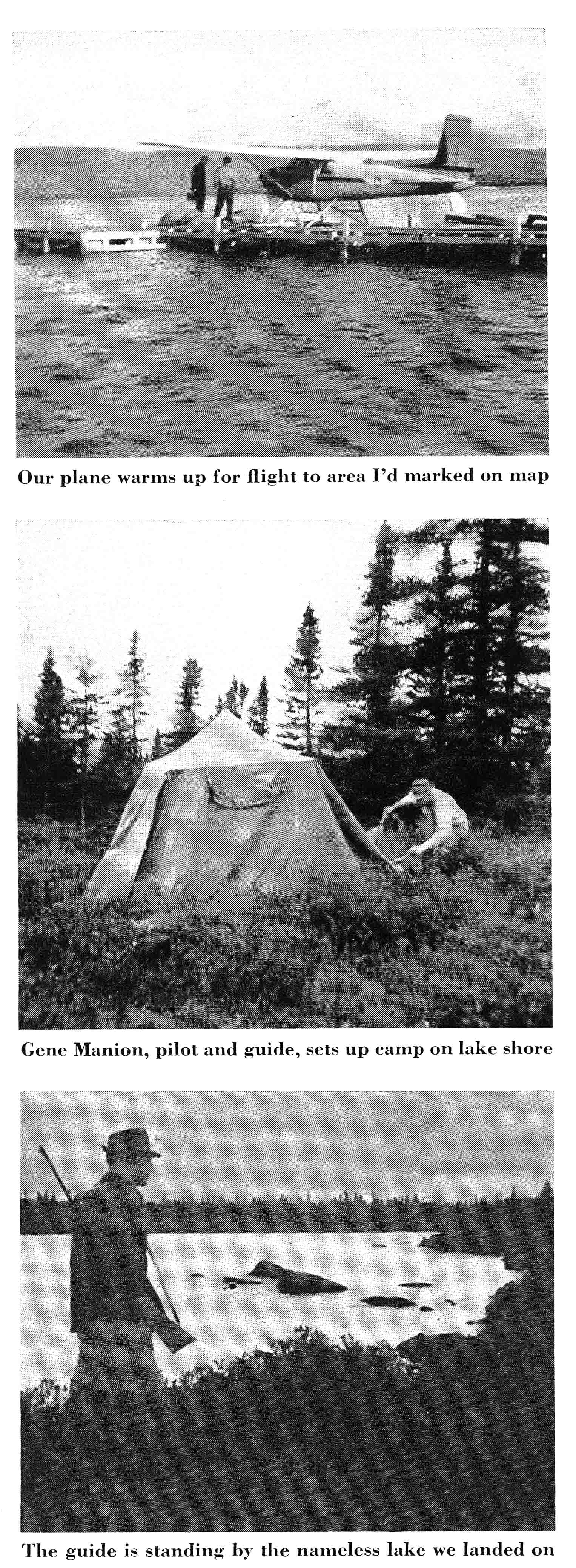 black and white photos of caribou