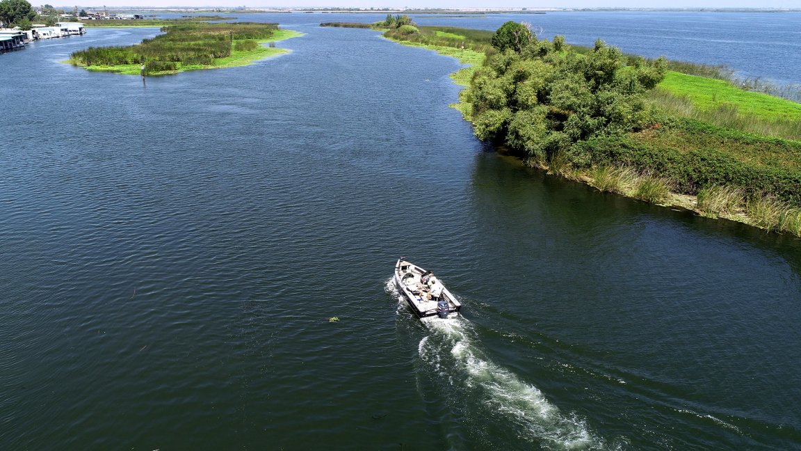 A bass boat runs in the San Francisco Bay Delta.