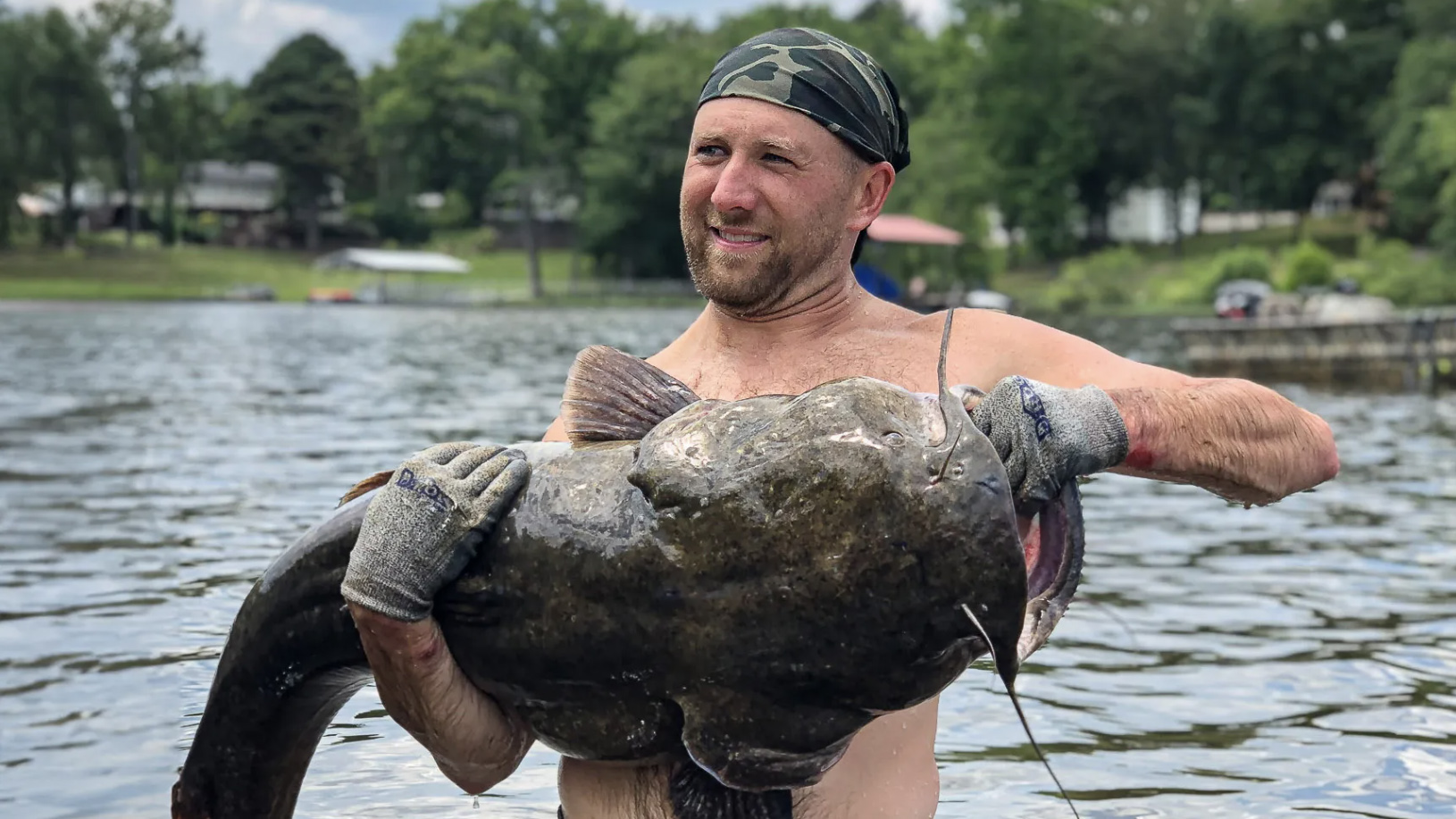A big flathead caught while noodling