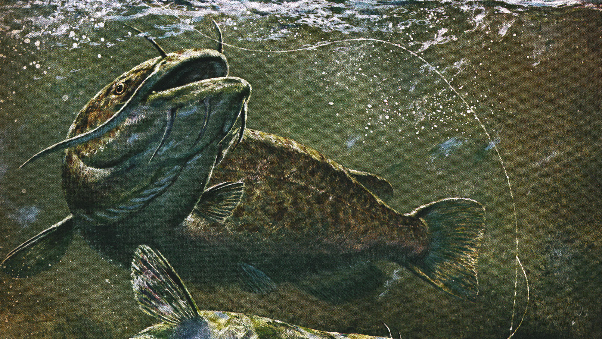 Everything You Ever Wanted to Know About Catching Catfish, A
