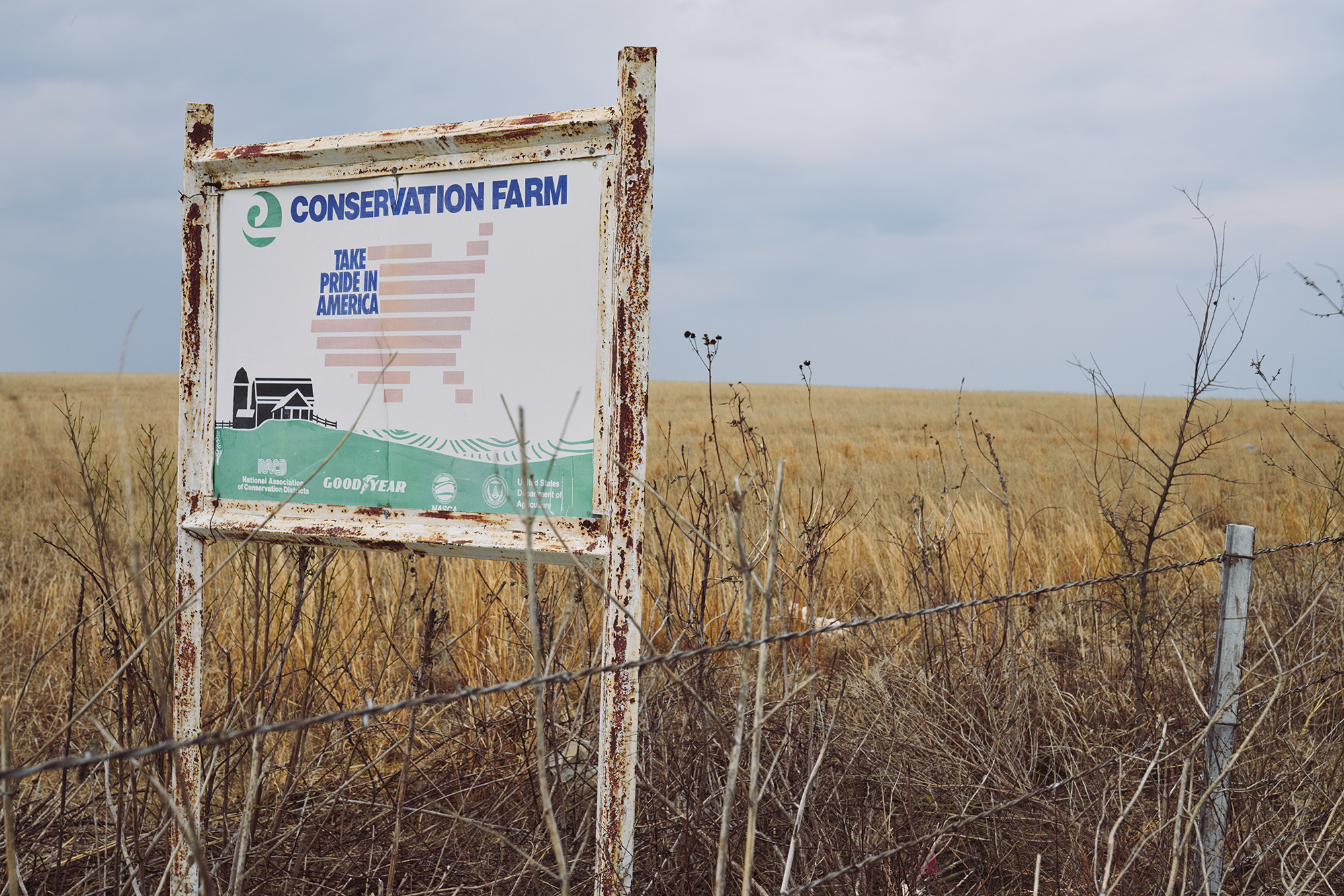 Native prairie in texas