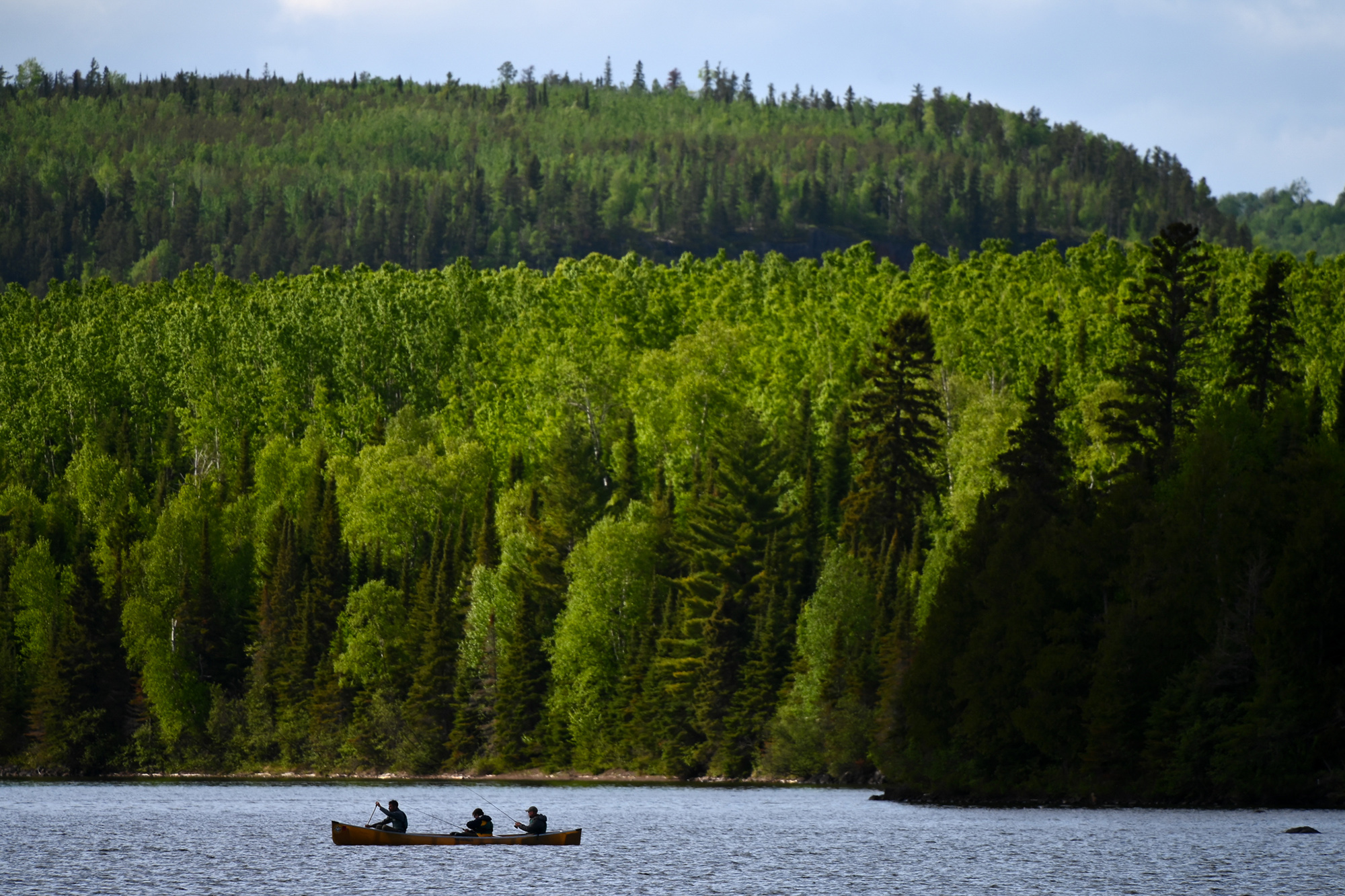 Fishermen in a canoe on the BWCA.