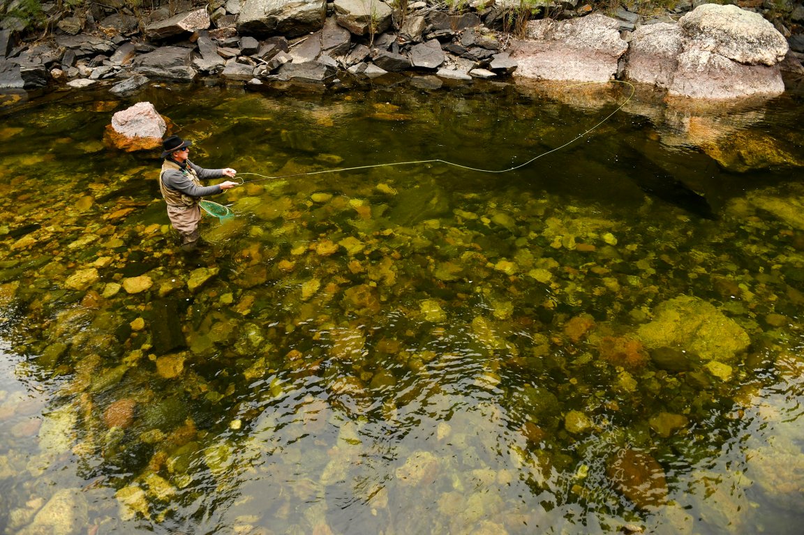 A colorado fisherman casts into a pool.