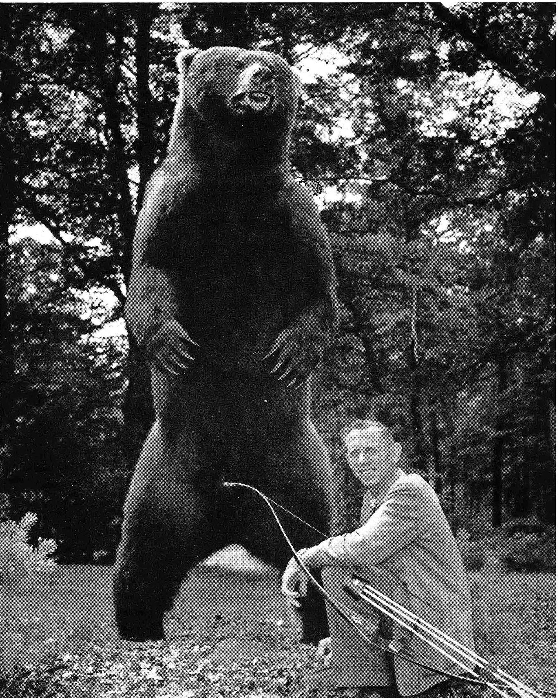 Fred Bear beside a standing full body mount of a brown bear.