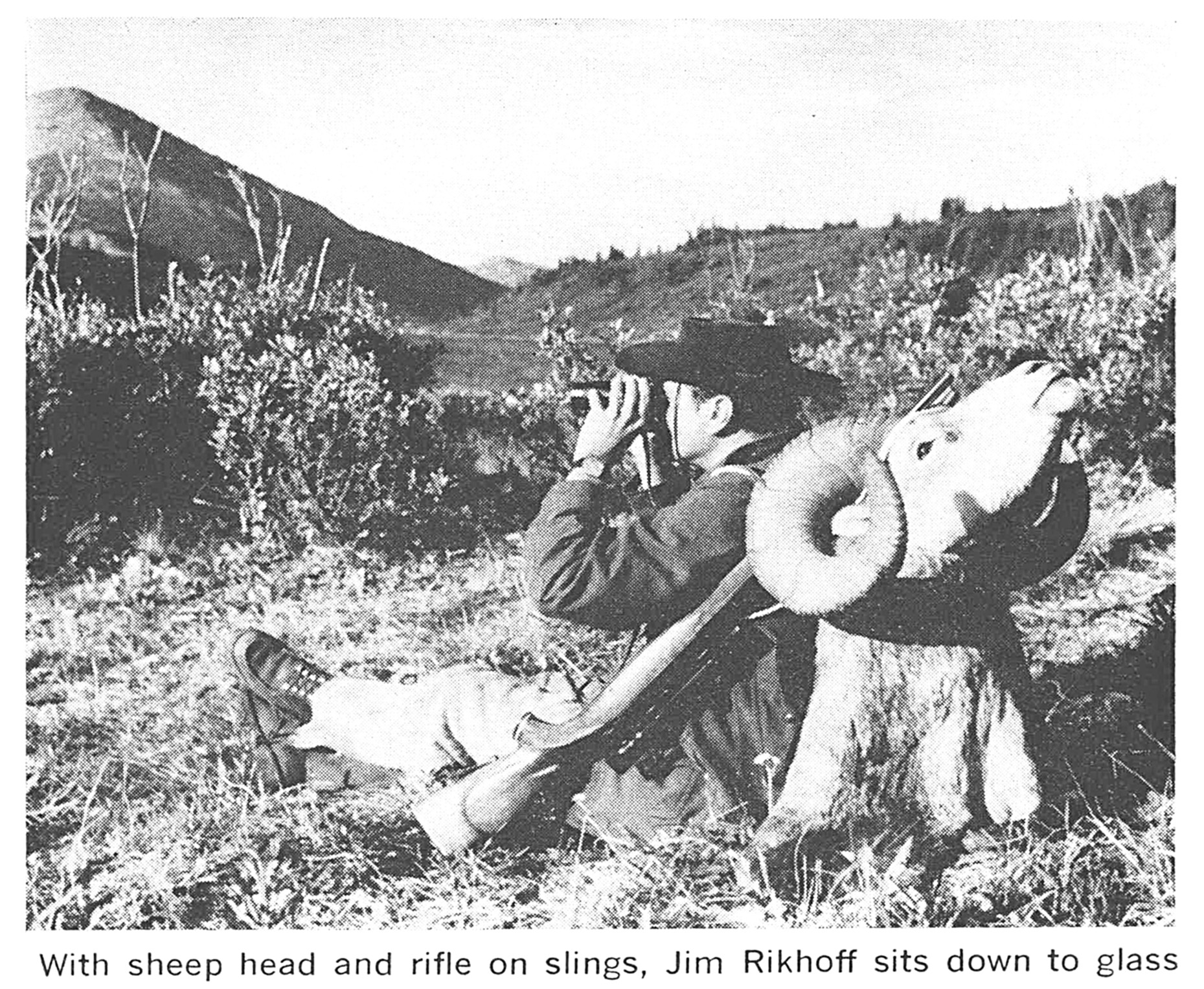 an old black and white photo of a sheep hunter glassing.
