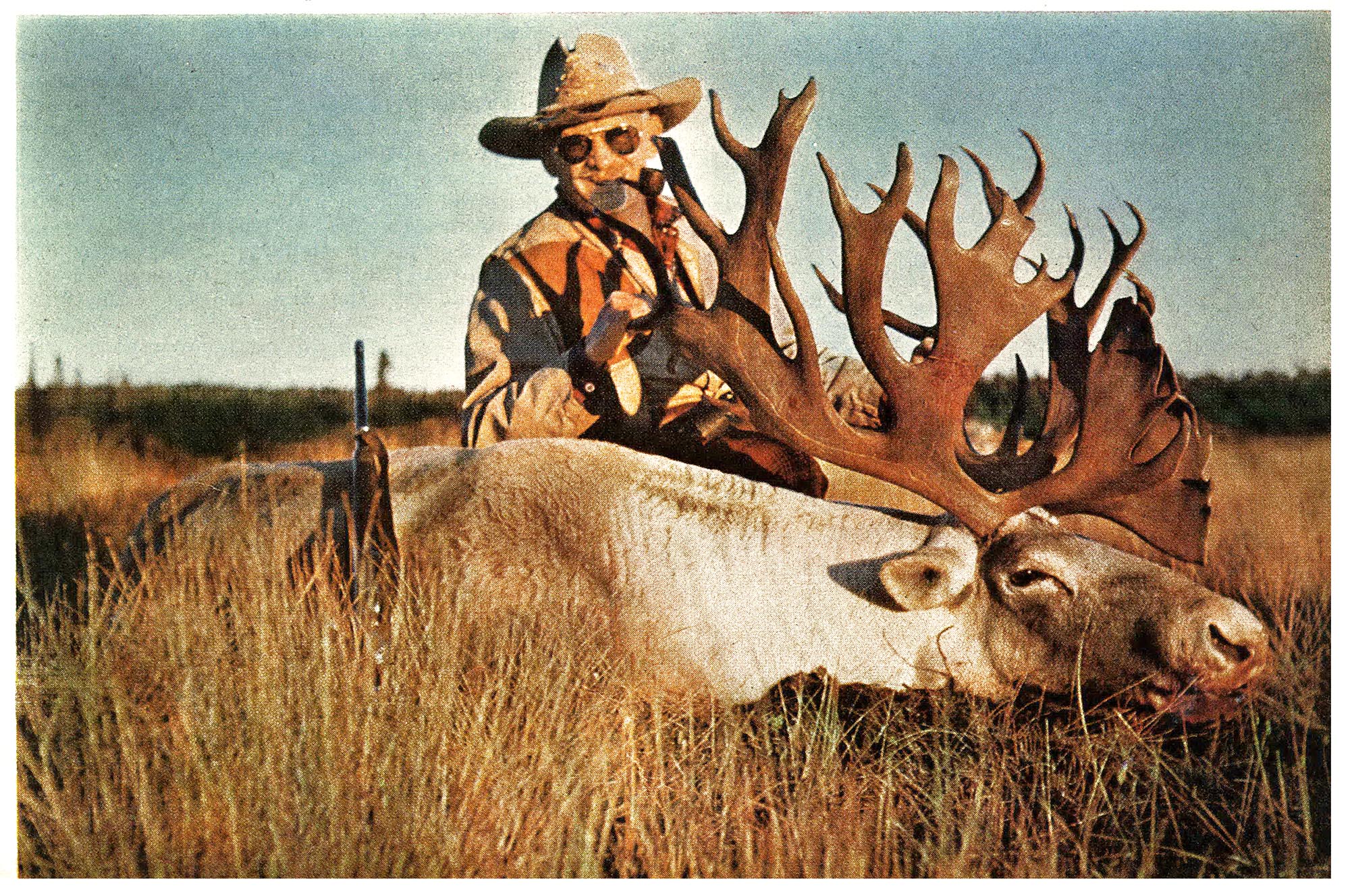 I Walked Away From a Record Book Bull to