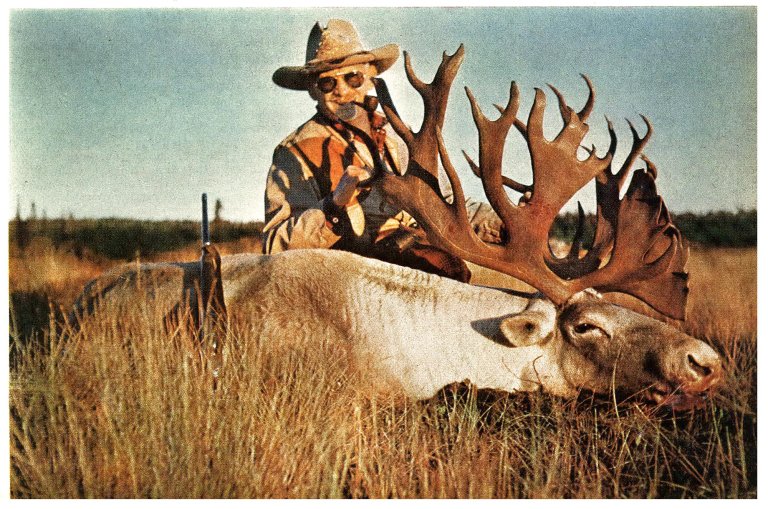 a color photograph of Grancel Fitz with a giant caribou