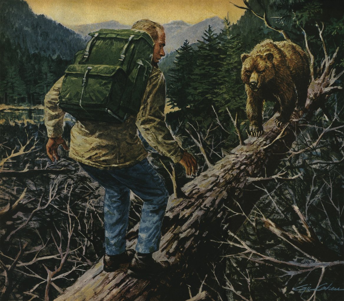 An illustration of a man hiking across a tree which has a bear on it.