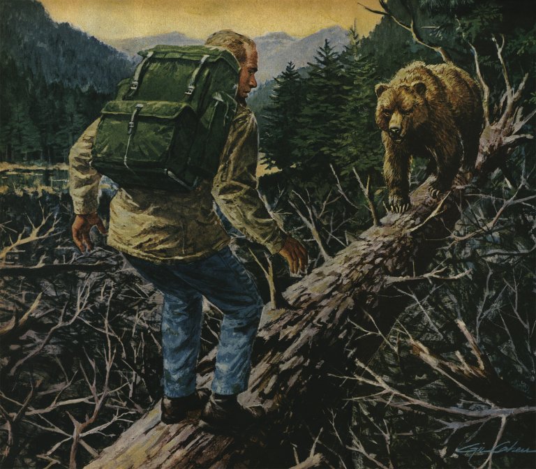 An illustration of a man hiking across a tree which has a bear on it.