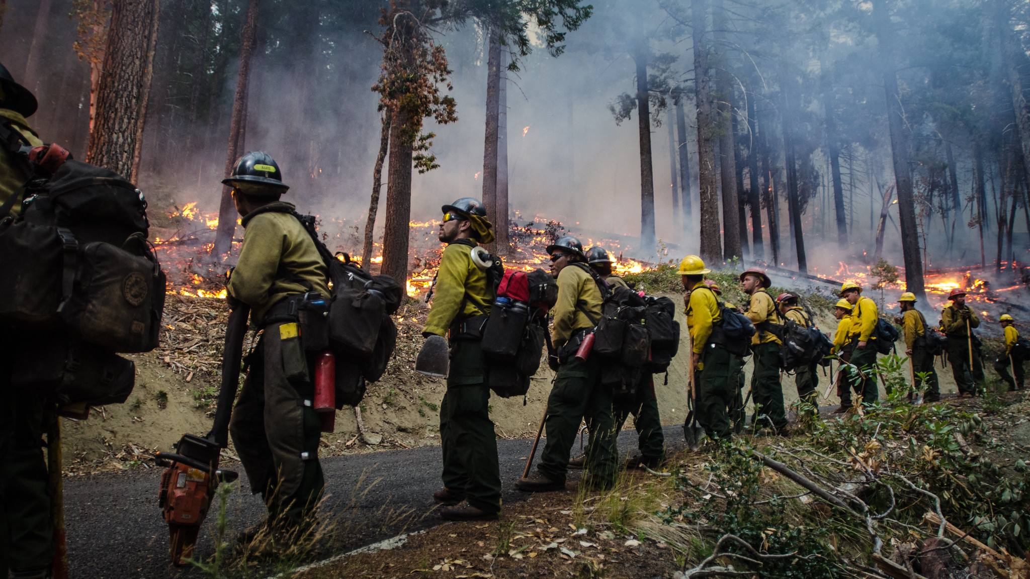 A line of wildland firefighters watch an oncoming blaze.