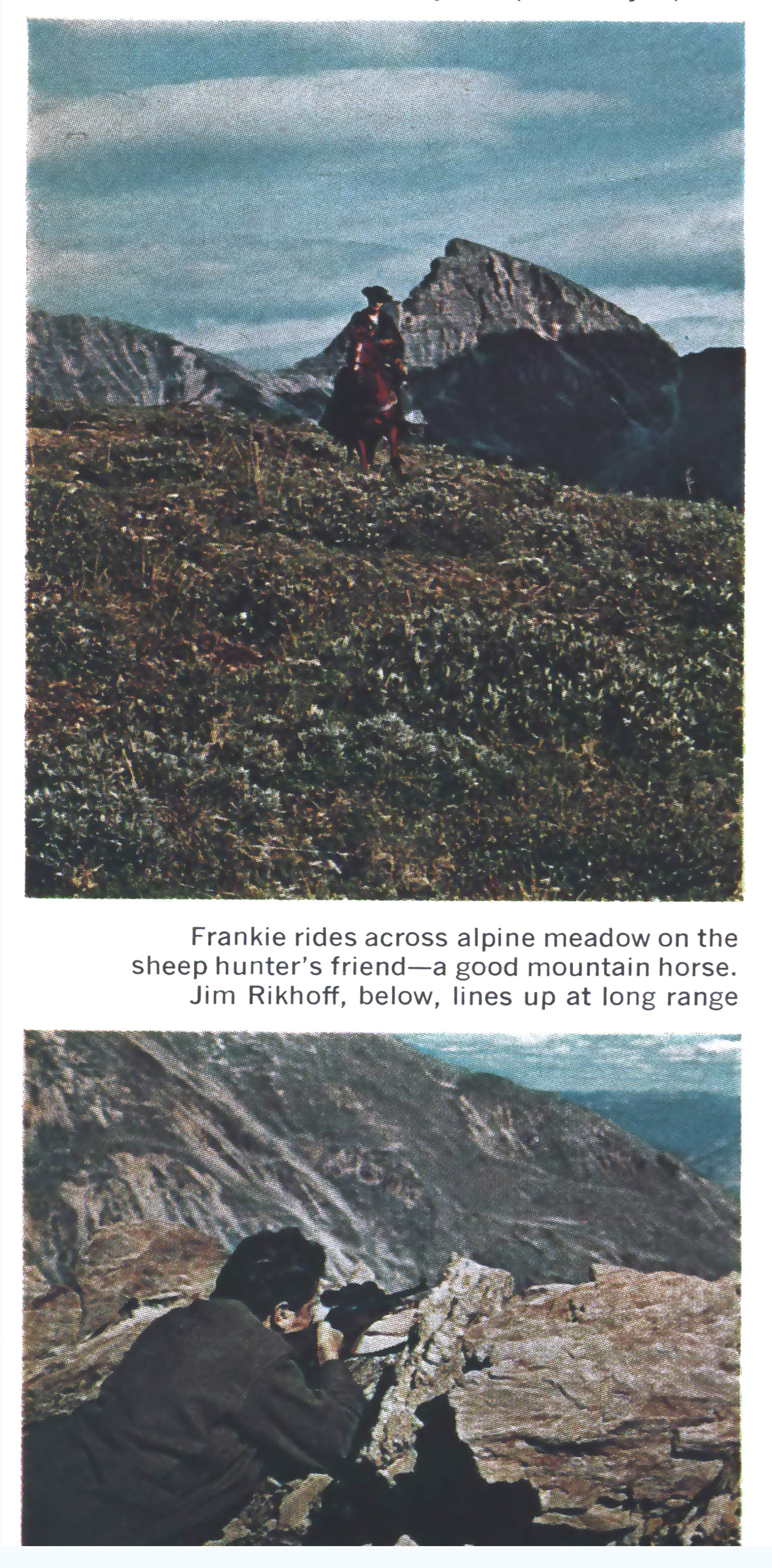old color photos of sheep hunting