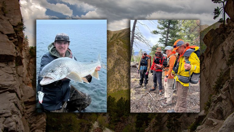 A composite of Kaden Sites and S&R crews.