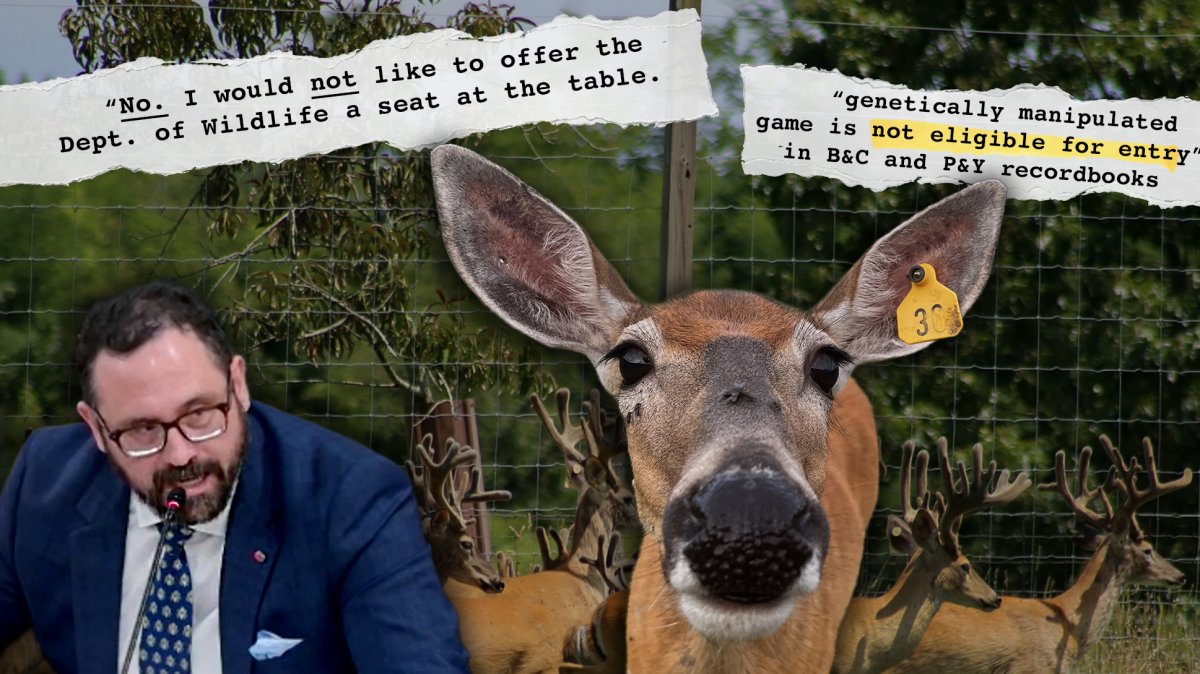 Oklahoma Is Now Releasing Pen-Raised Deer into the Wild as Part of a Vast CWD Experiment